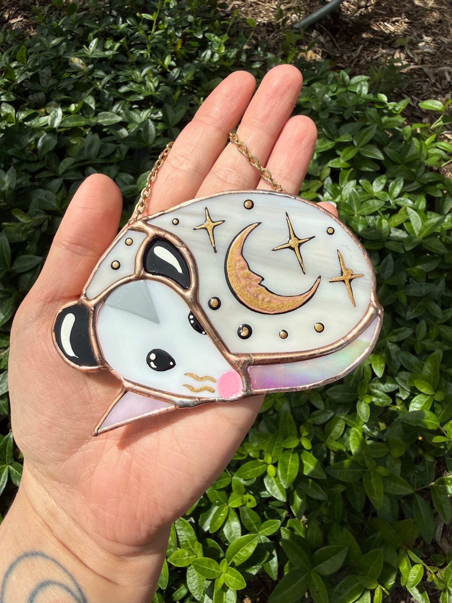 Sleepy Celestial Opossum