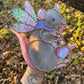 Grey Fairy Rat Stained Glass Suncatcher