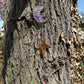 Iridescent and Gold Sun and Moon Suncatcher