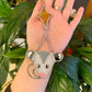 Silver Opossum Starburst Stained Glass Car Charm