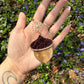 Flower Star Acorn Rear View Mirror Hanger