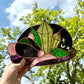 Black Crystal Rat Stained Glass Mirror