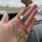 Emerald Mushroom Stained Glass Car Charm