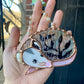 Black Foliage Opossum Stained Glass Ornament