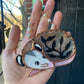 Black Foliage Opossum Stained Glass Ornament