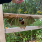 Wizard Bat Stained Glass Suncatcher
