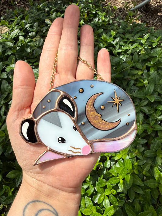 Sleepy Celestial Opossum