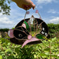 Black Crystal Rat Stained Glass Mirror