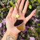 Star Acorn Rear View Mirror Hanger
