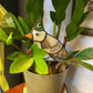 Wizard Pigeon Stained Glass Planter Stake