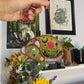 Mini Tan Tulip Rat Mushroom Stained Glass Suncatcher