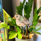 Wizard Pigeon Stained Glass Planter Stake