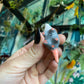 Little Opossum Figurine