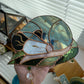 Leaf Opossum Stained Glass Suncatcher