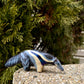 Magical Anteater Figurine