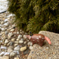 Wizard Shrew Figurine