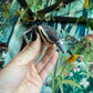 Magical Anteater Figurine