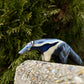 Magical Anteater Figurine