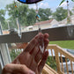 Rainbow Opossum Moon Stained Glass Suncatcher
