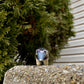 Magical Anteater Figurine